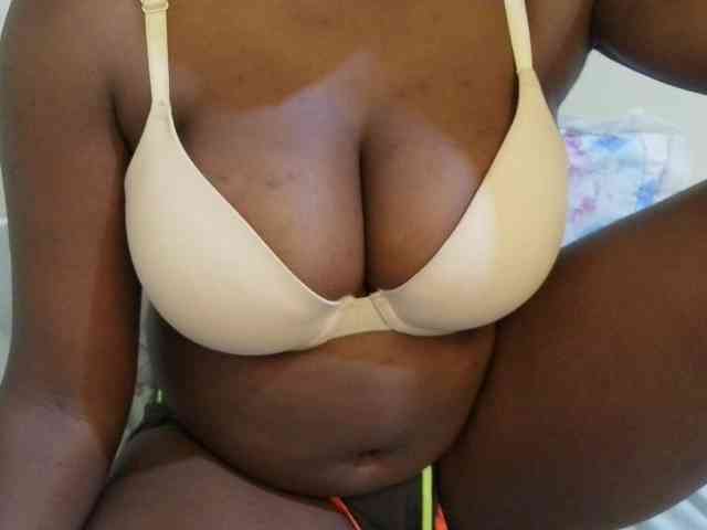 pretty-lioness webcam