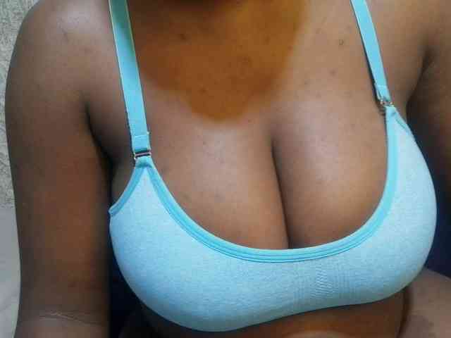 pretty-lioness webcam