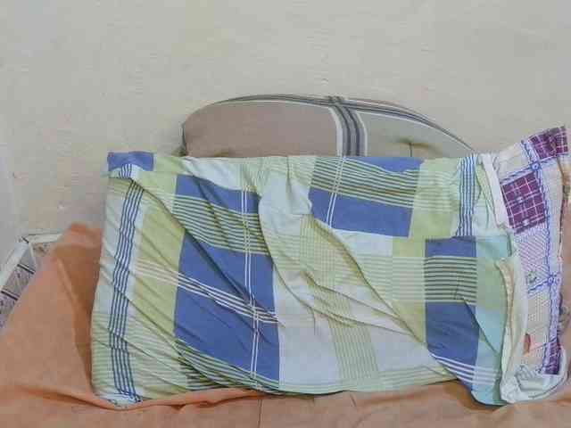 pretty-lioness webcam