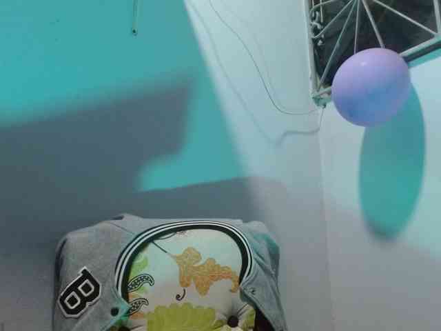 Mariam-wish webcam