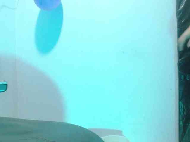 Mariam-wish webcam