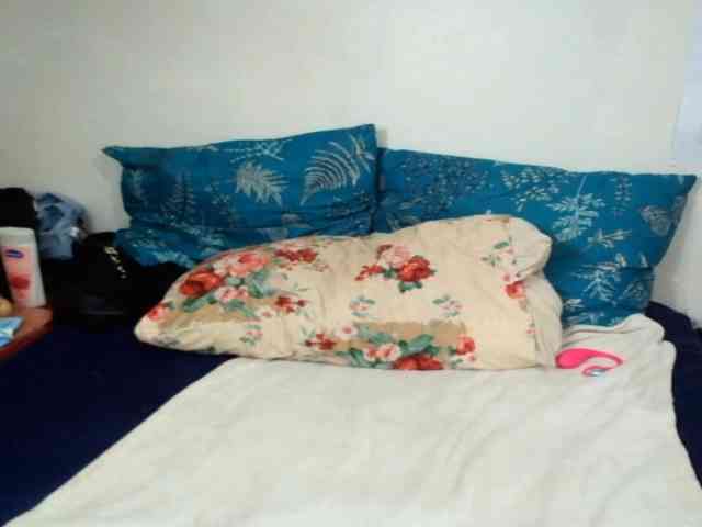 IndianFire00 webcam