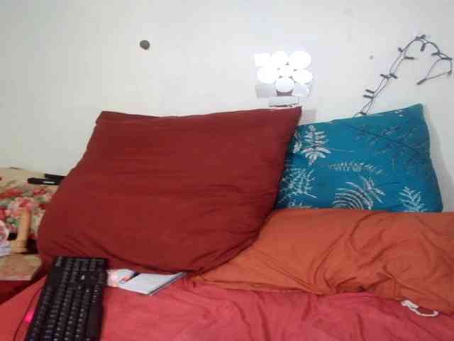 IndianFire00 webcam