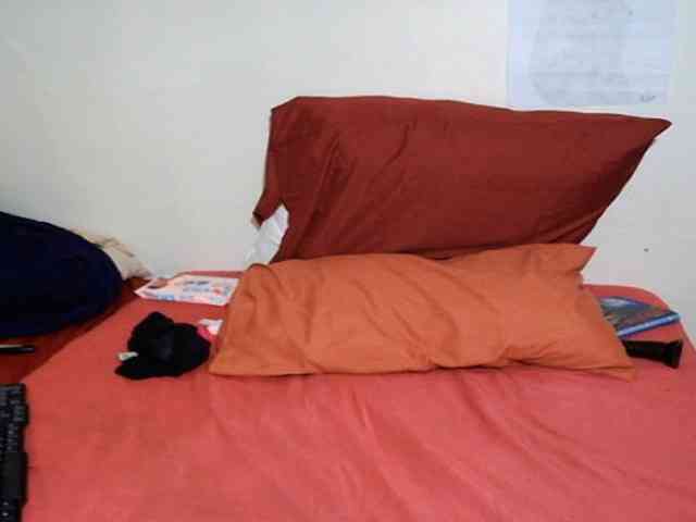 IndianFire00 webcam