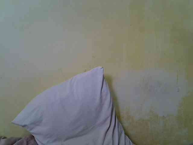 Pretty-doll webcam