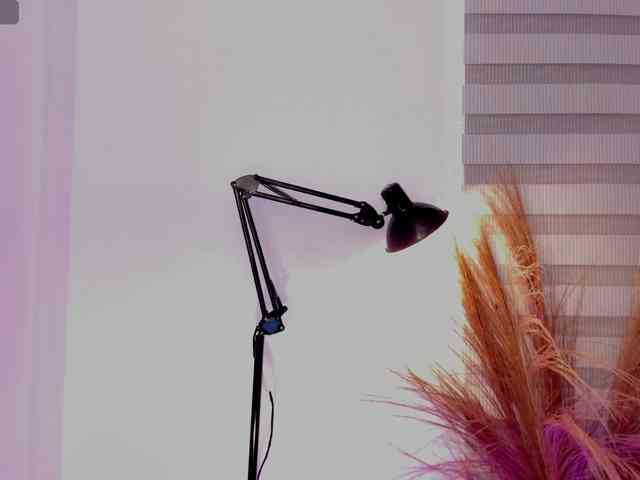 Allisonowens webcam