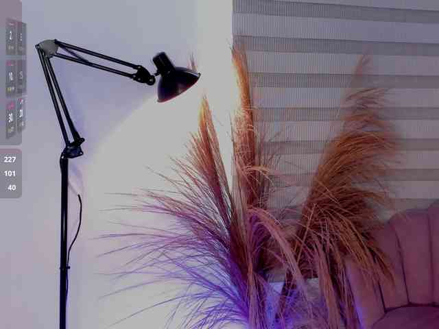 Allisonowens webcam