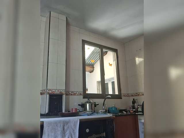 GoddessCarrie live cam on BongaCams