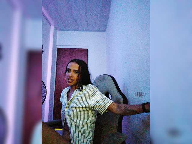 roomexotic11 online