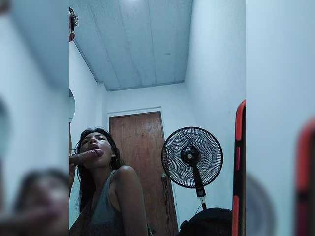 ROOMEXOTIC11