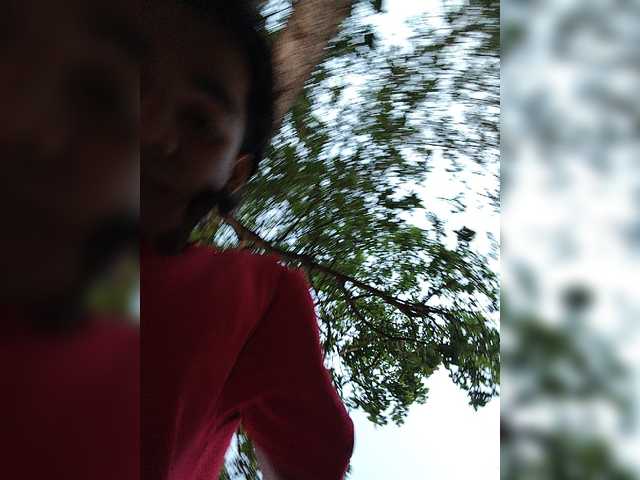 ROOMEXOTIC11