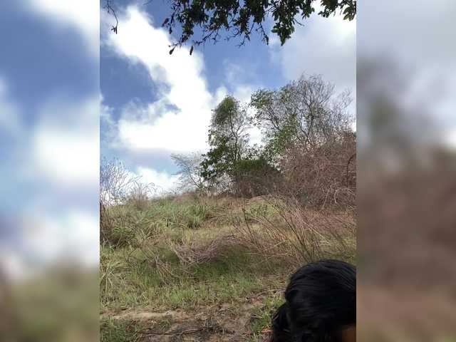 ROOMEXOTIC11's BongaCams profile