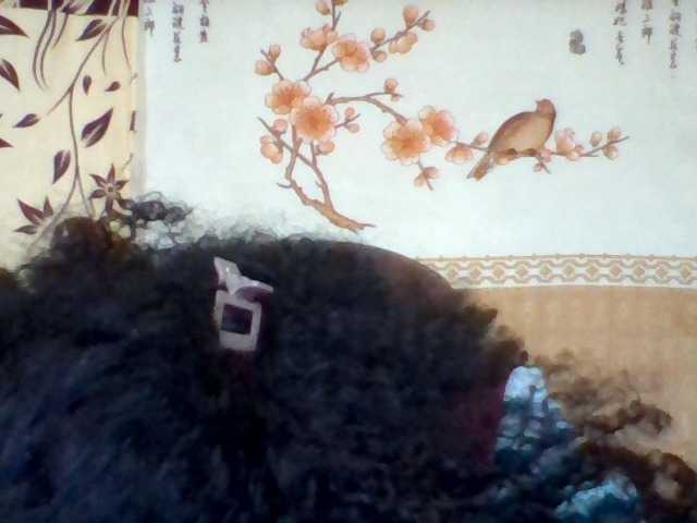 Hanta11 live cam on BongaCams