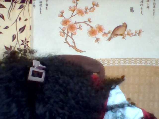 Hanta11 live cam on BongaCams