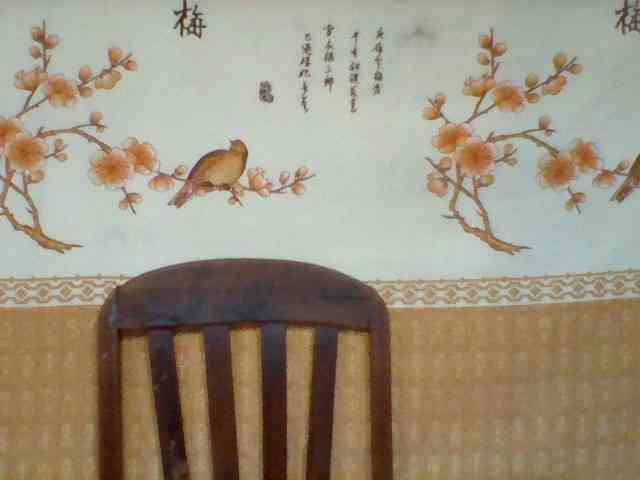 Hanta11