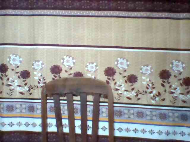 Hanta11 webcam