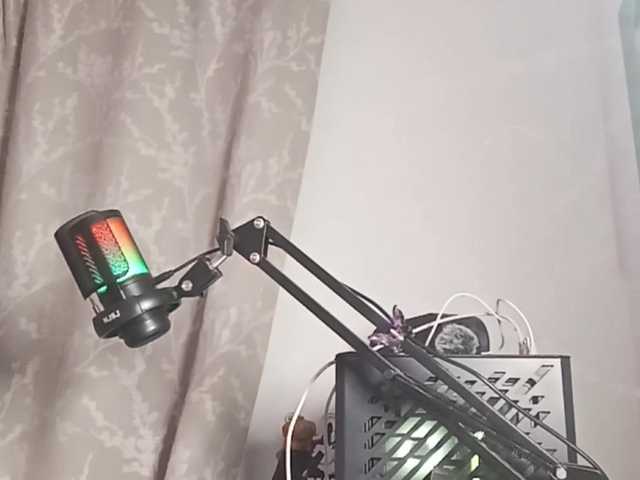 Norehg live cam