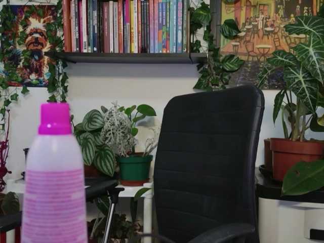 Preview of talimajesty