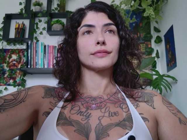 talimajesty live cam preview