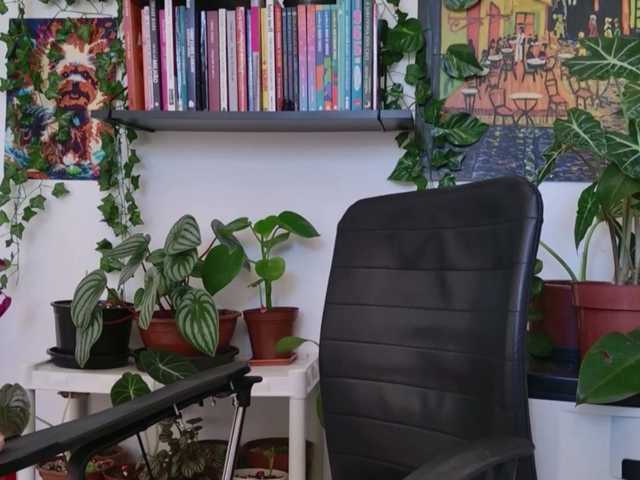 Preview of talimajesty