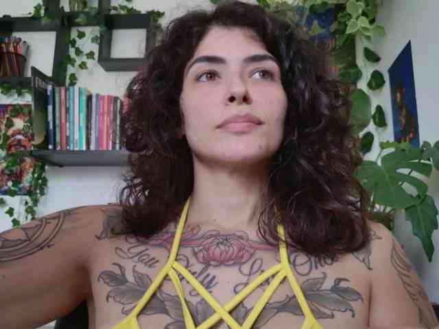 talimajesty webcam