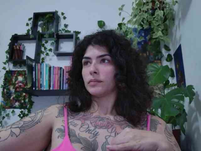 talimajesty webcam