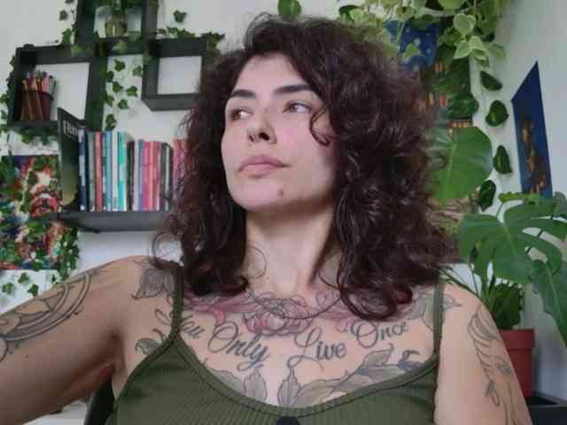 talimajesty webcam