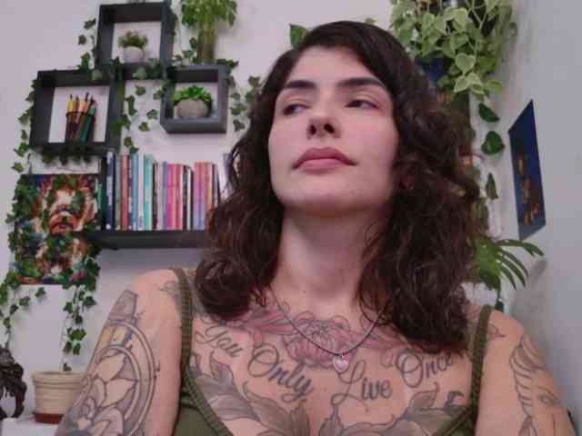 talimajesty webcam