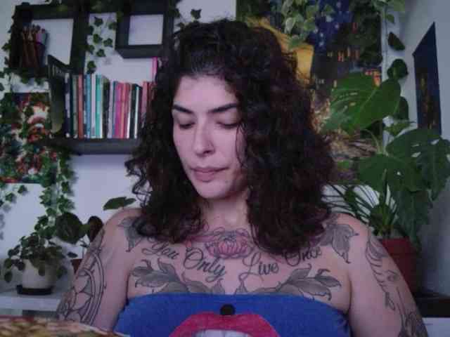 talimajesty webcam