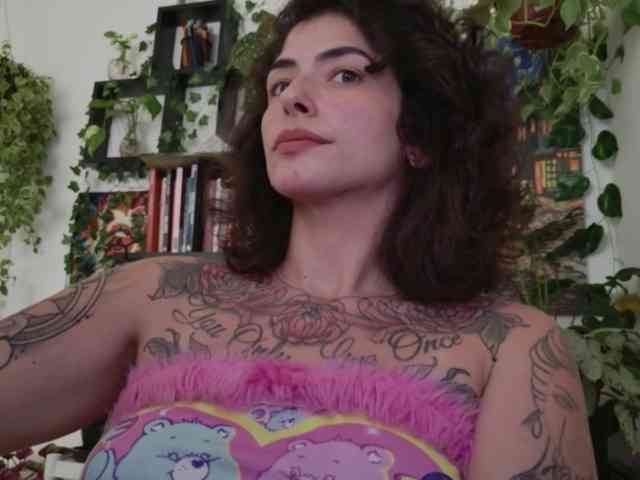 talimajesty webcam