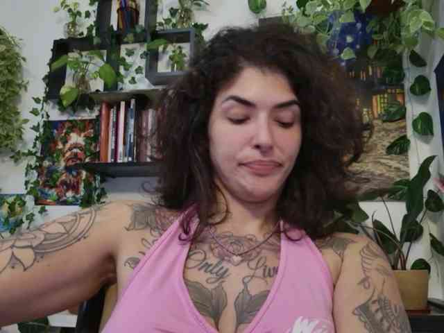 talimajesty webcam