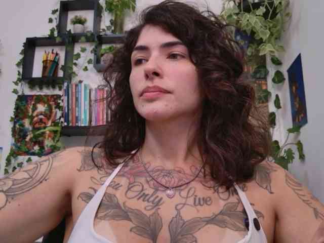 talimajesty webcam
