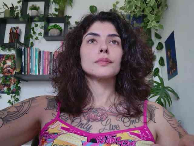 talimajesty webcam