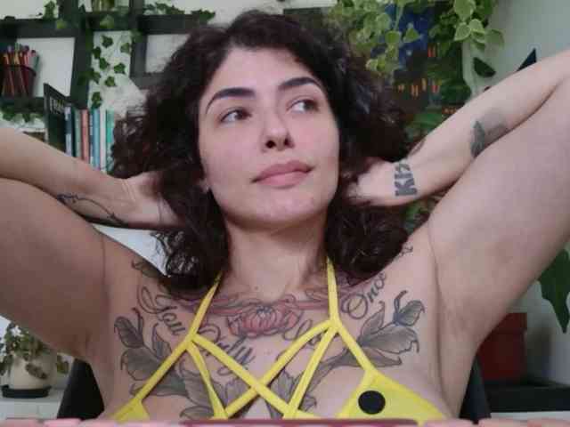 talimajesty webcam