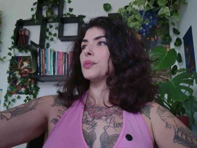 talimajesty webcam