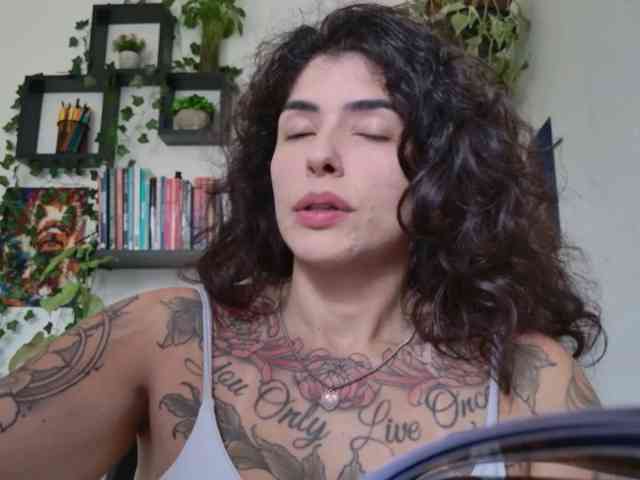 talimajesty webcam