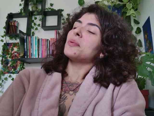 talimajesty webcam