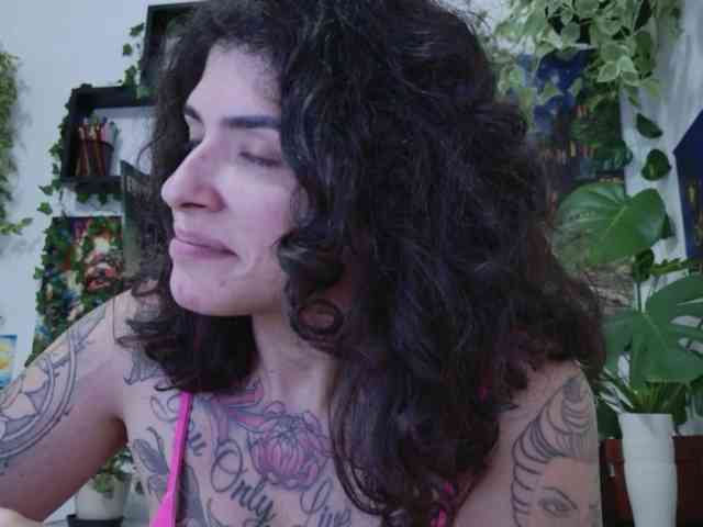 talimajesty webcam