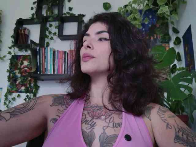 talimajesty webcam