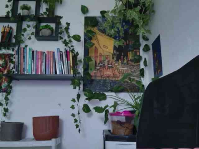talimajesty webcam