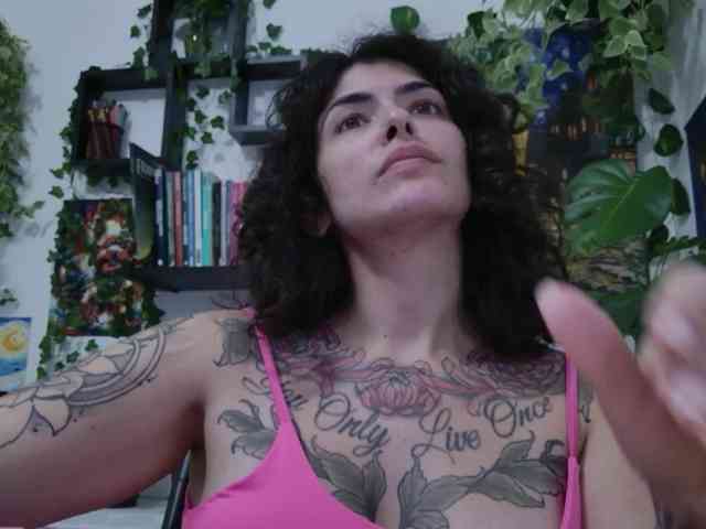 talimajesty webcam