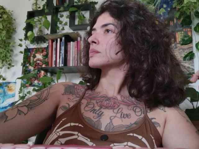 talimajesty webcam