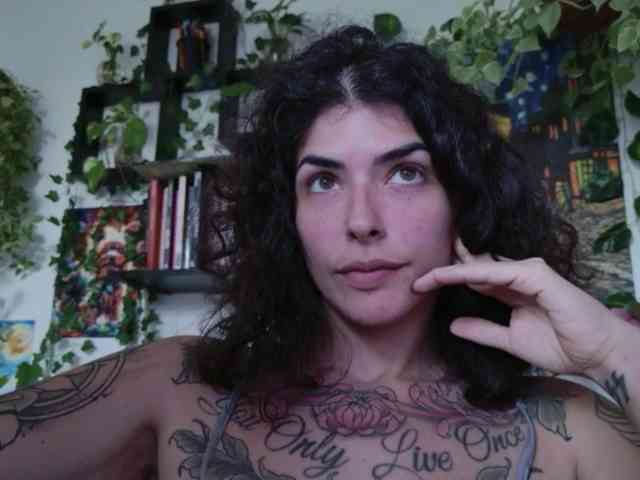 talimajesty webcam