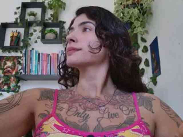 talimajesty webcam