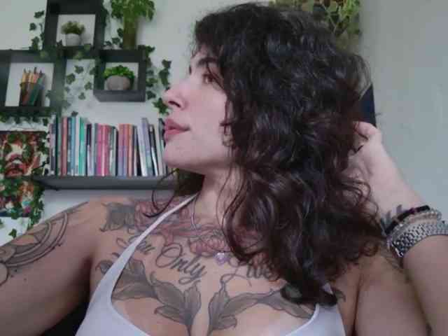 talimajesty webcam