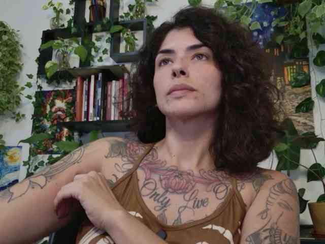 talimajesty webcam