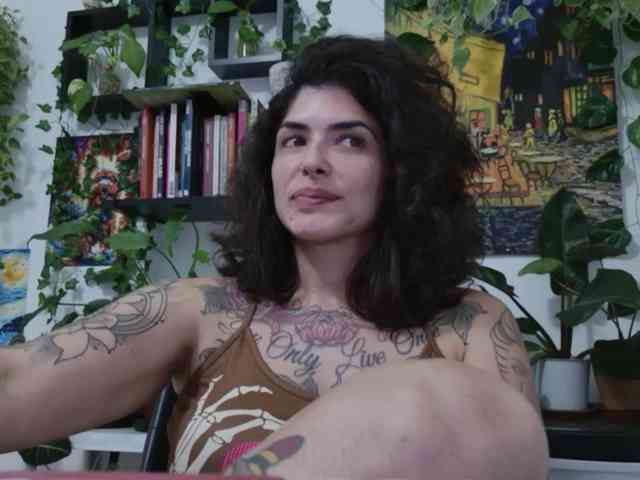 talimajesty webcam