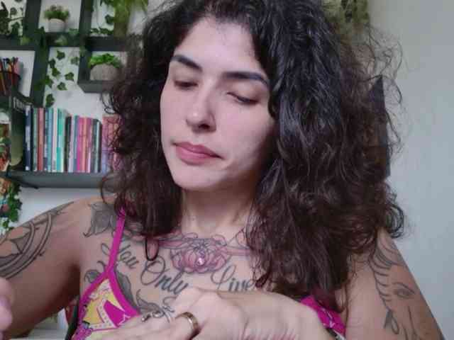 talimajesty webcam