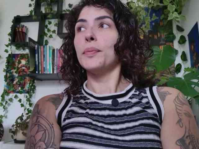 talimajesty webcam
