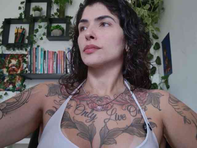 talimajesty webcam